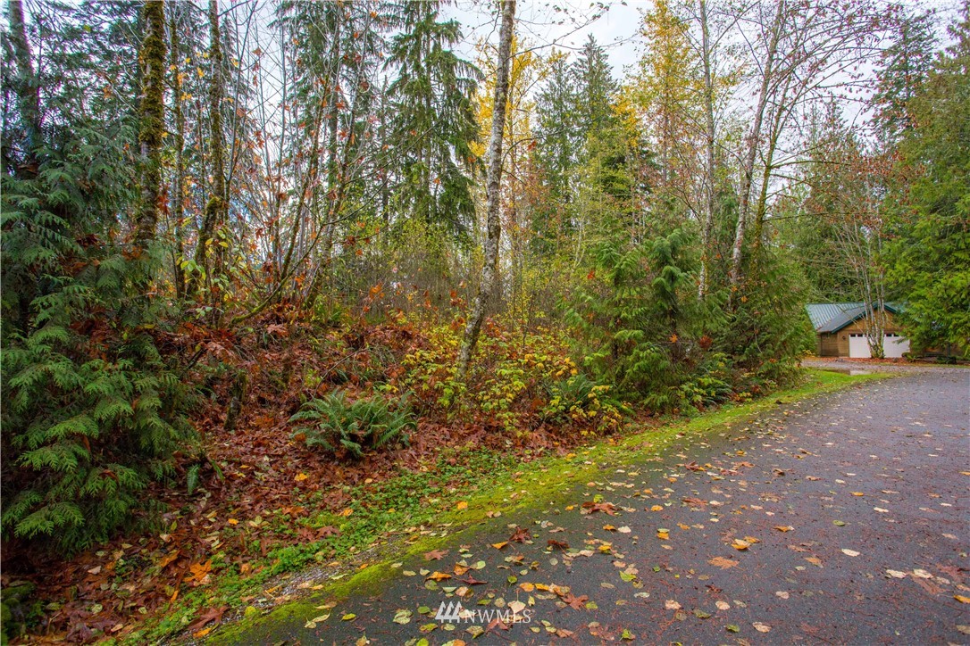11074 Alpine Road Deming, WA 98244 - Photo 5 of 18 Gallery Image 5