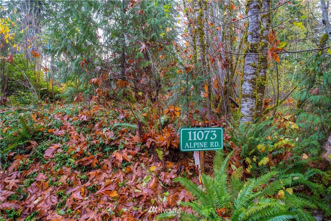 11074 Alpine Road Deming, WA 98244 - Photo 7 of 18 Gallery Image 7