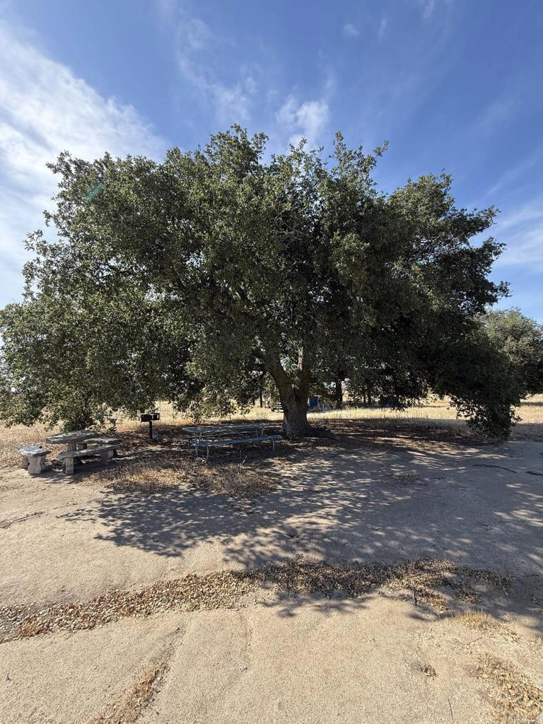 1085 Harris Ranch Road Campo, CA 91906 - Photo 34 of 50 Gallery Image 34