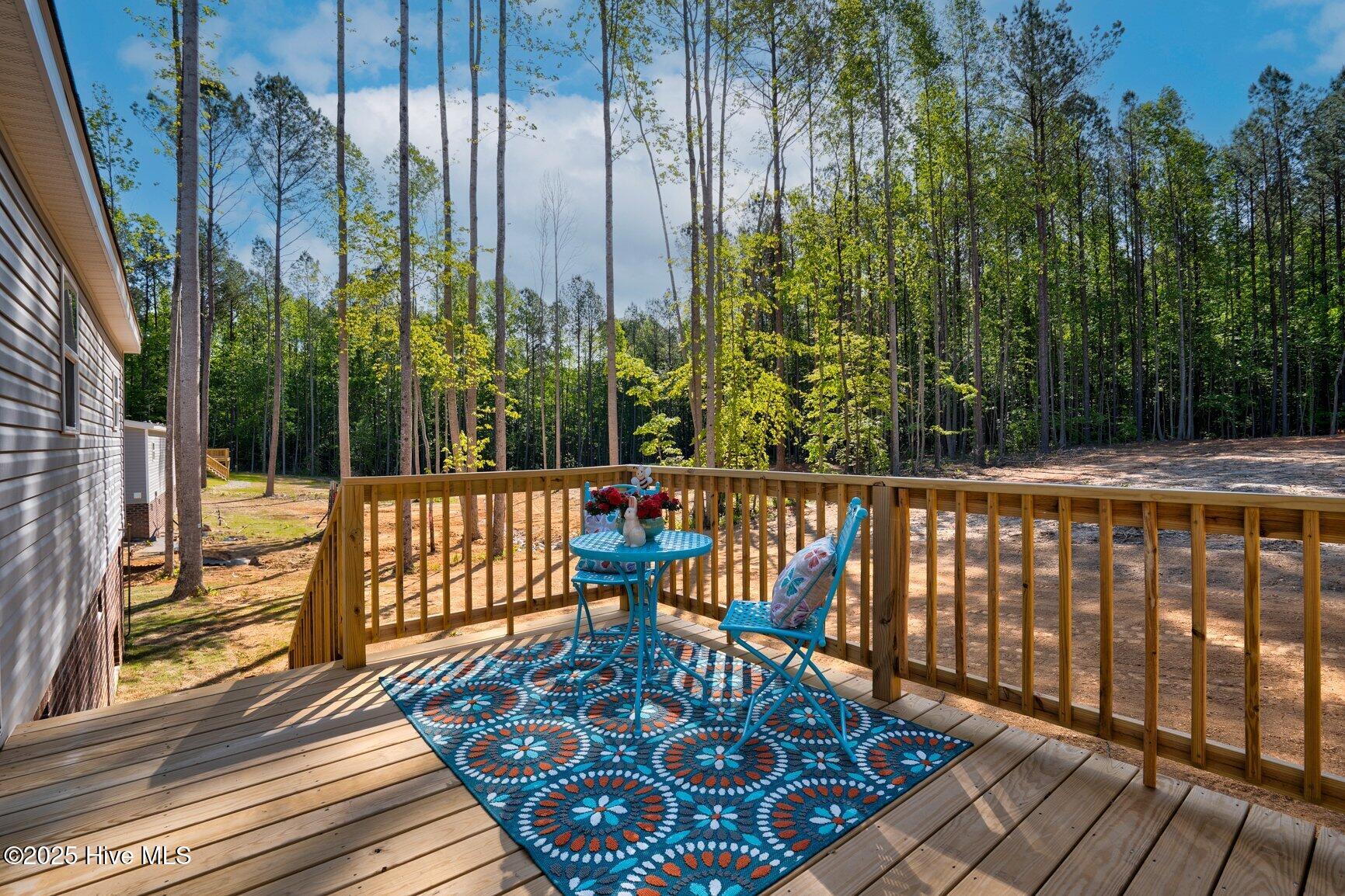 6167 Taylors Gin Road Castalia, NC 27816 - Photo 14 of 37 10 ft X 13 ft Deck