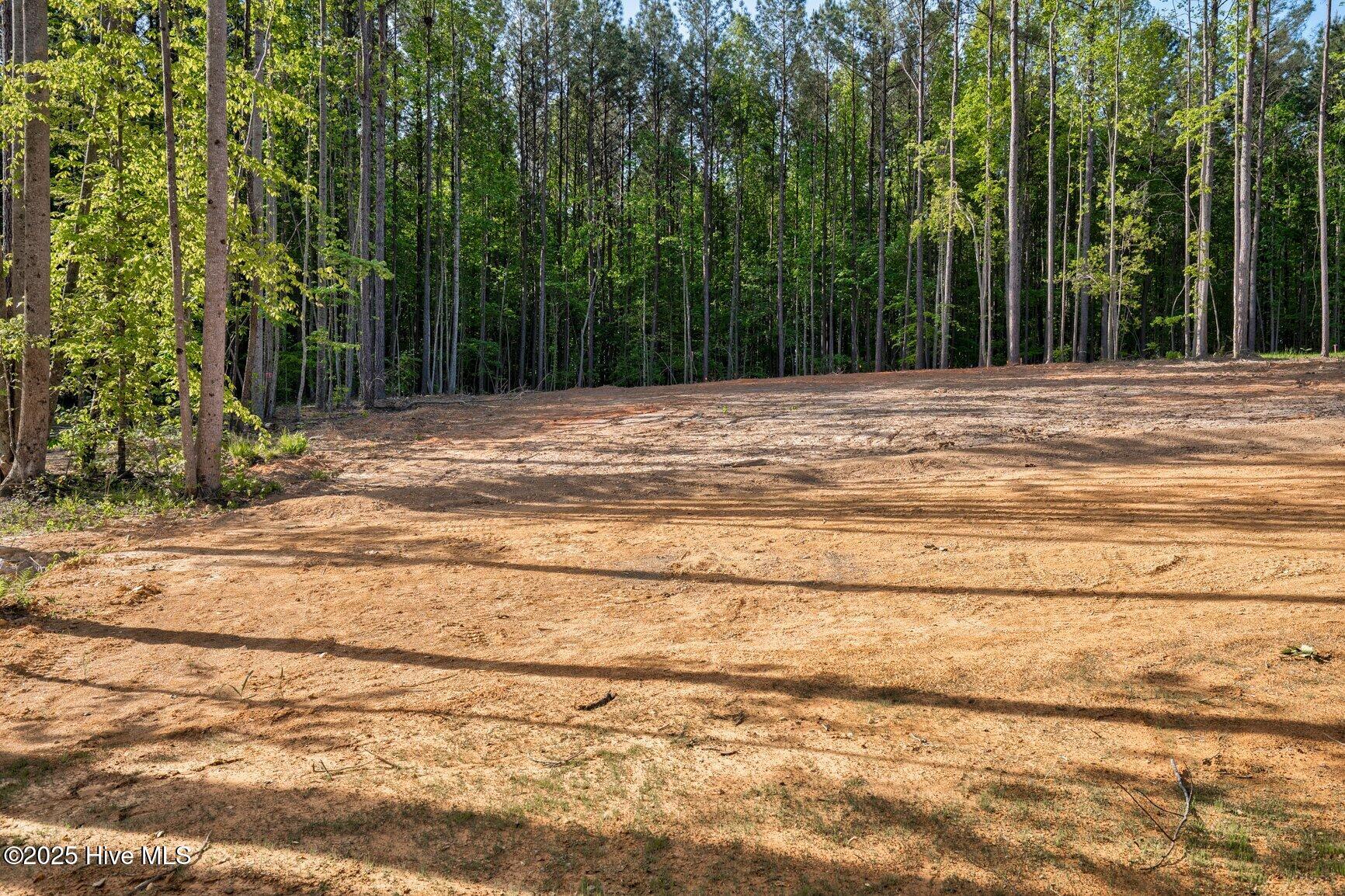 6167 Taylors Gin Road Castalia, NC 27816 - Photo 34 of 37 Back yard