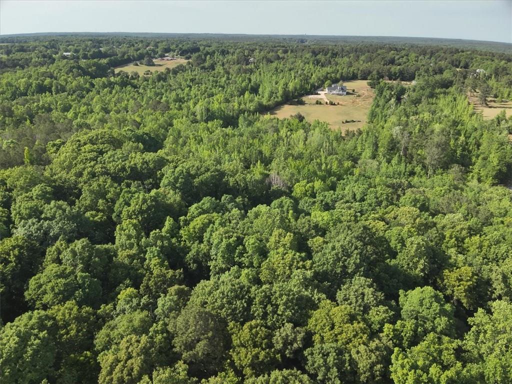 2033 Peeksville Road Locust Grove, GA 30248 - Photo 70 of 81 Gallery Image 70
