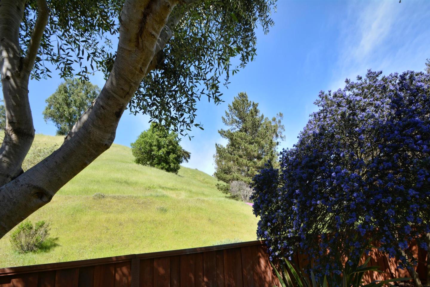 21088 Country Park Road Salinas, CA 93908 - Photo 21 of 23 Gallery Image 21