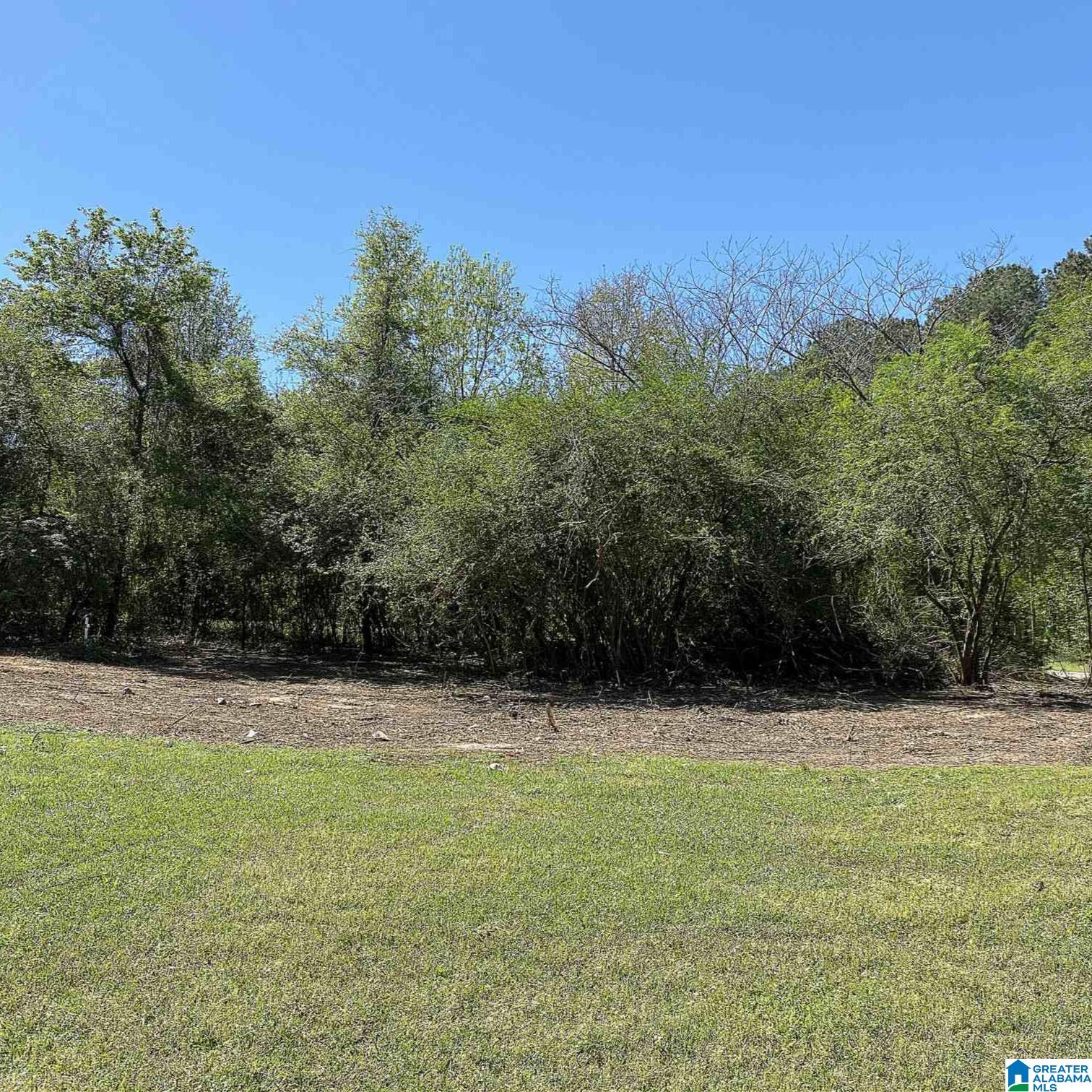 490 Gregory Road Jasper, AL 35503 - Photo 2 of 21