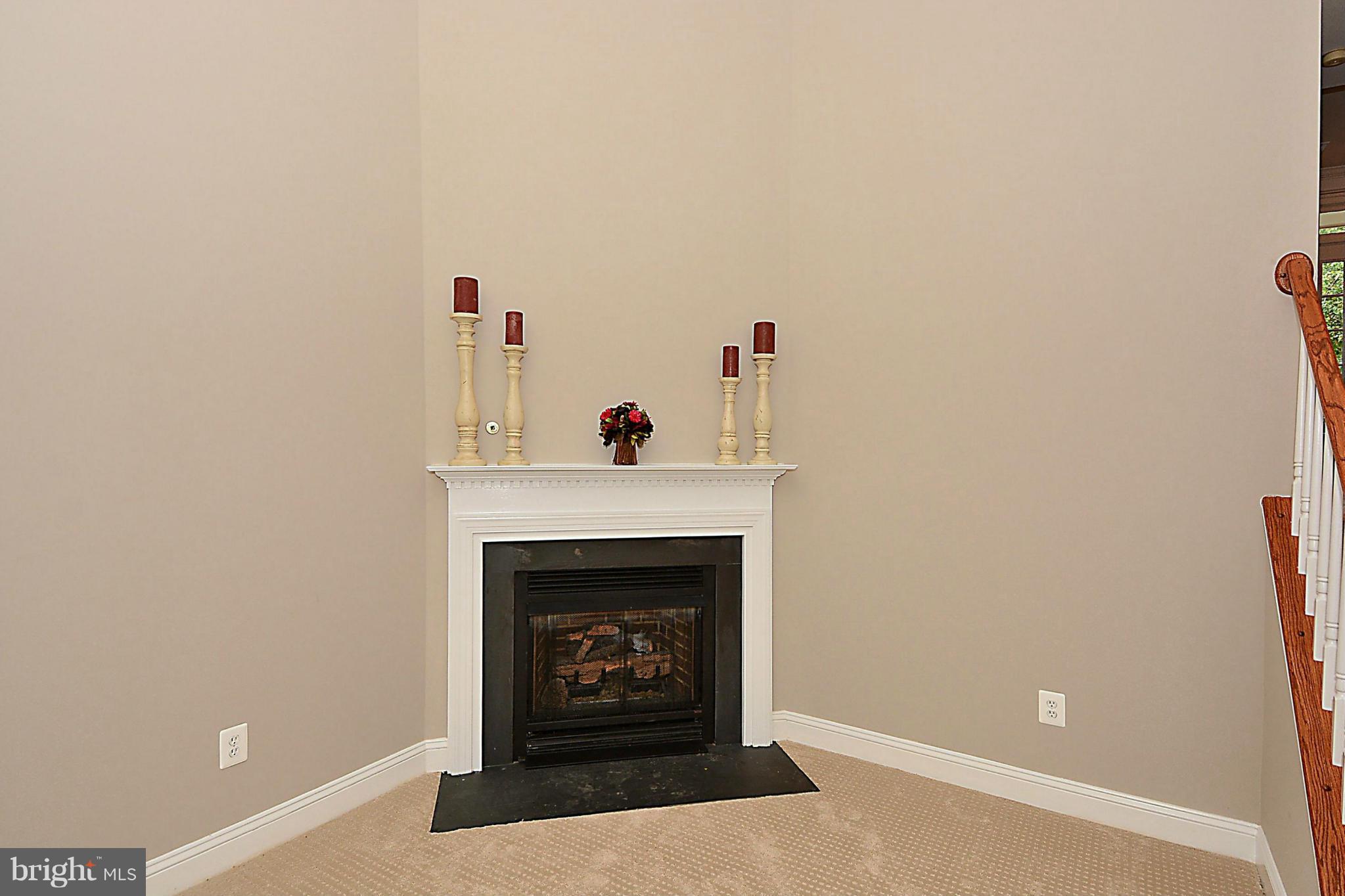 11420 Summer House Court Reston, VA 20194 - Photo 21 of 30 Recreation Room w/Fireplace