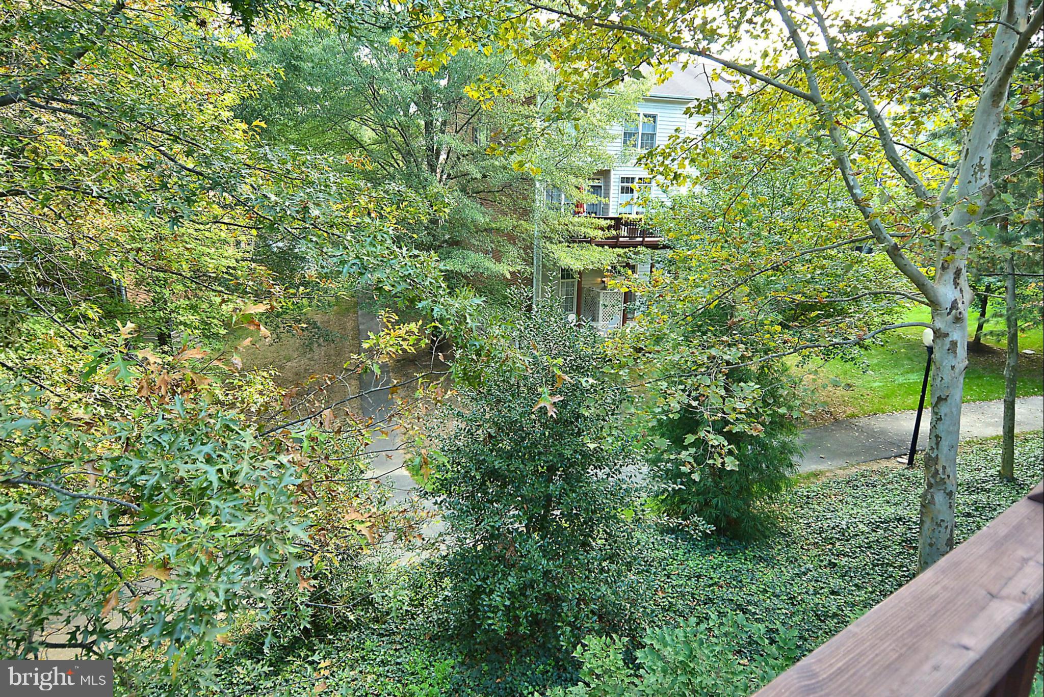 11420 Summer House Court Reston, VA 20194 - Photo 25 of 30 Treed View from Deck