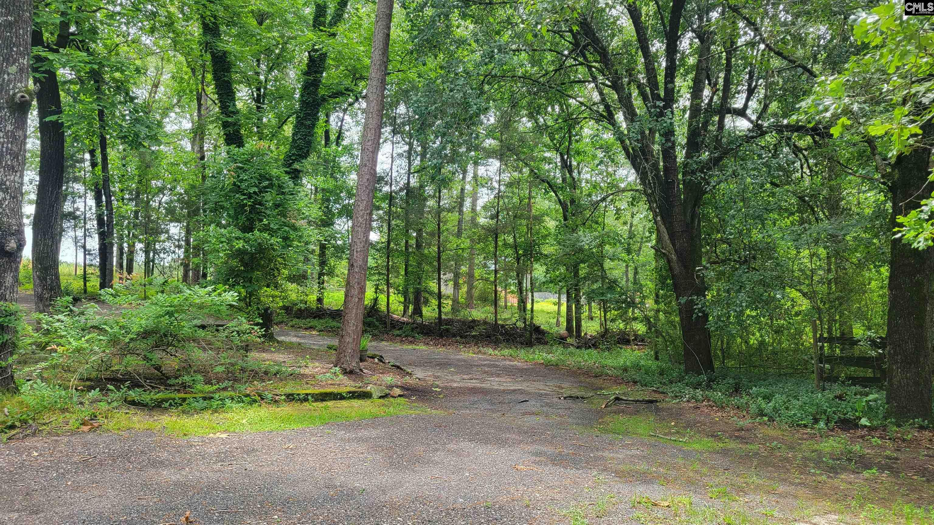 742 Elbert Taylor Road Gilbert, SC 29054 - Photo 22 of 66