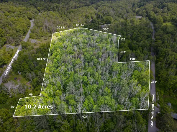 a view of a forest
