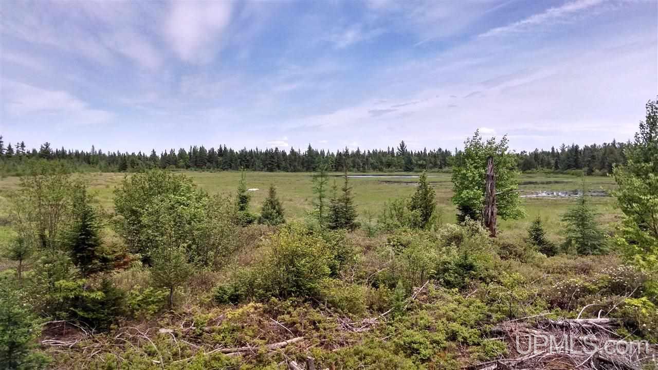 N1766 Old Plank Road Wetmore, MI 49895 - Photo 10 of 25