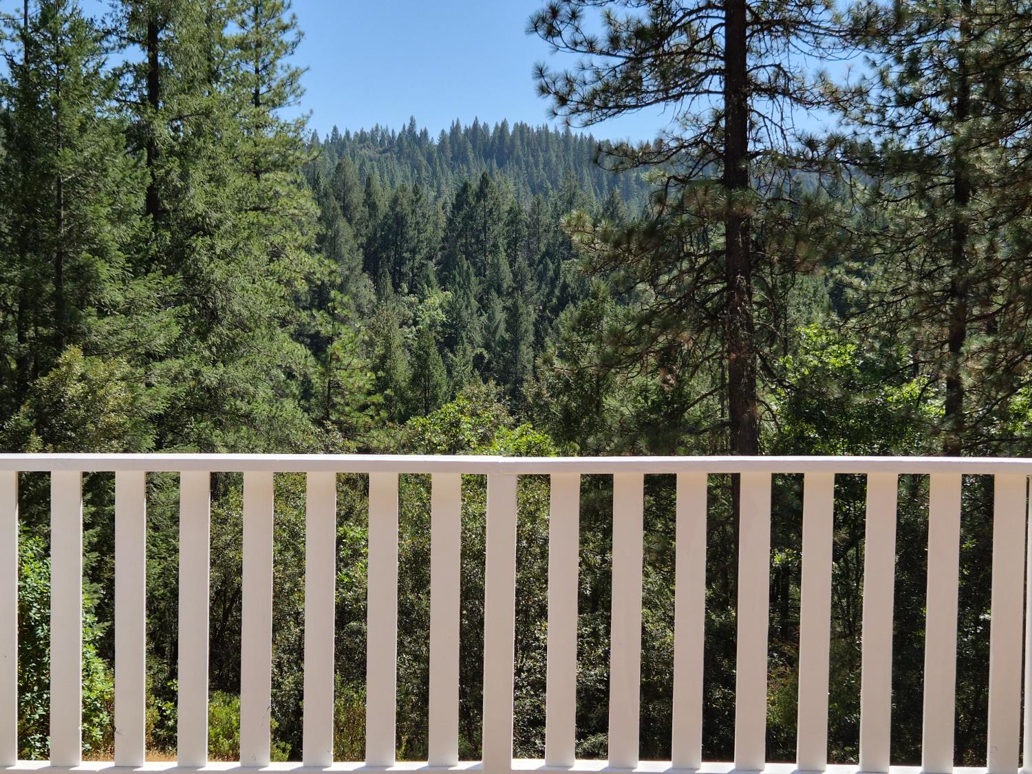 21640 Clute Canyon Road Volcano, CA 95689 - Photo 28 of 44 a view of a wooden fence