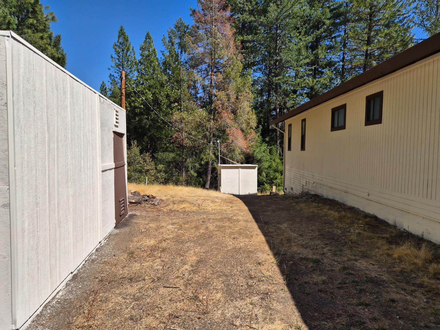 21640 Clute Canyon Road Volcano, CA 95689 - Photo 35 of 44 a view of a backyard of the house