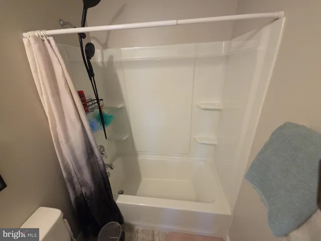 a bathroom with a shower and toilet