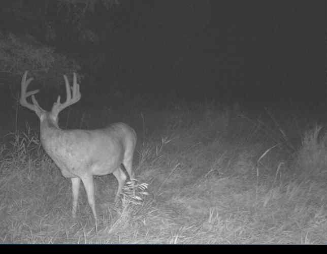 0 South Fairlawn Road Wakarusa, KS 66546 - Photo 34 of 72