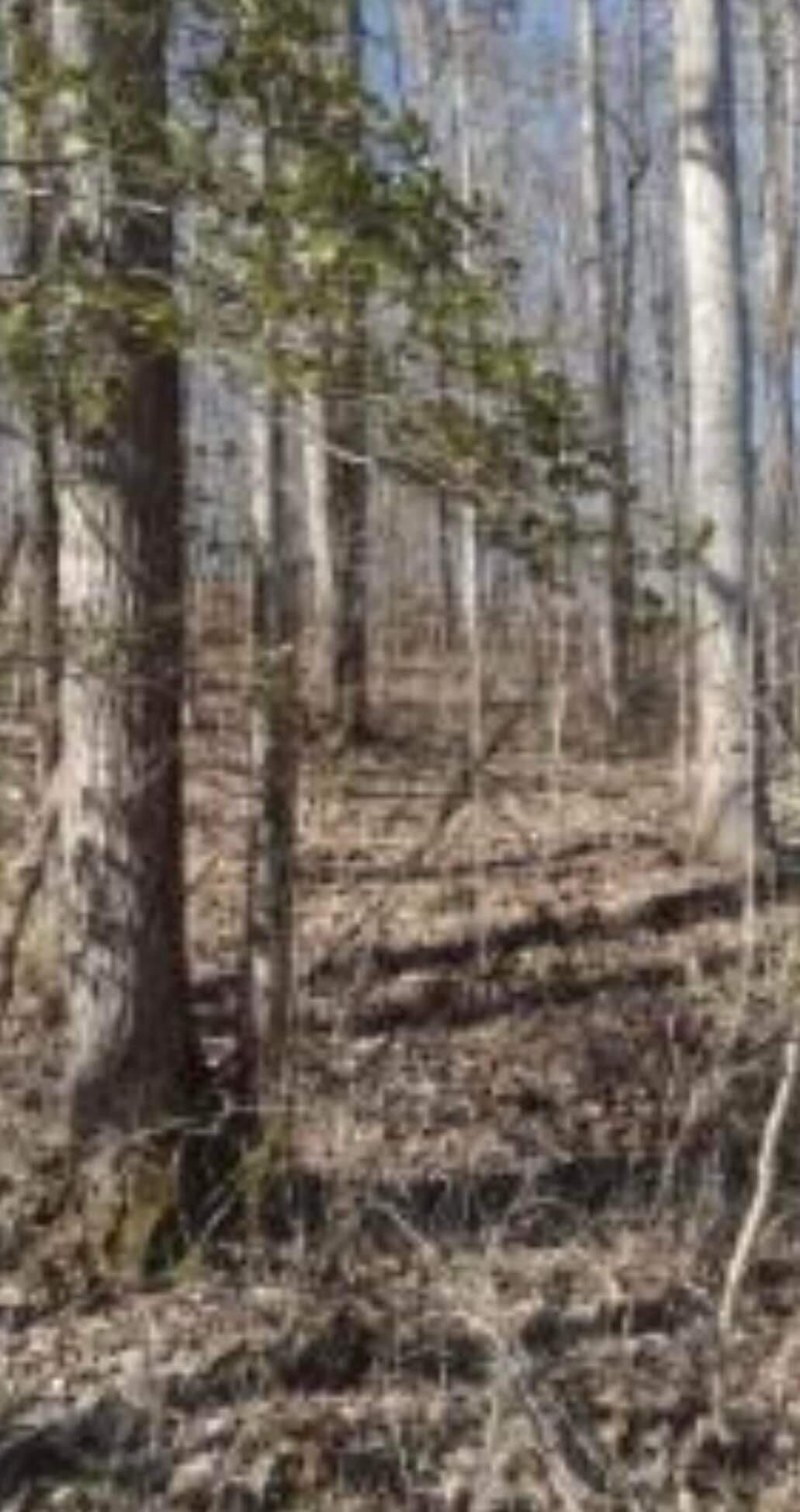 3 Pine Grove Road Beattyville, KY 41311 - Photo 12 of 17 43B5F7F6-C577-4ED2-B526-0CC04A96F553