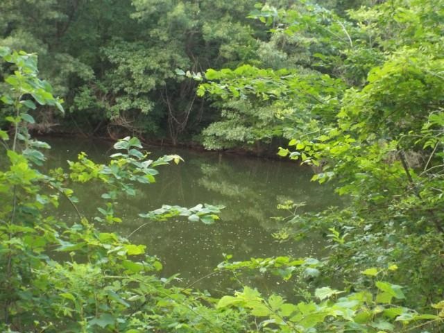11085 East Piroke Road Stockton, IL 61085 - Photo 29 of 40 Gallery Image 29