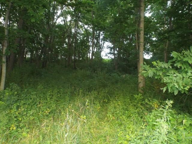 11085 East Piroke Road Stockton, IL 61085 - Photo 36 of 40 Gallery Image 36