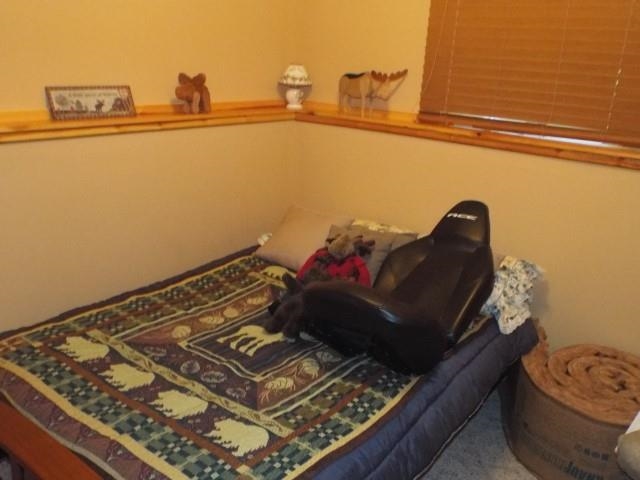 11085 East Piroke Road Stockton, IL 61085 - Photo 10 of 40 Gallery Image 10