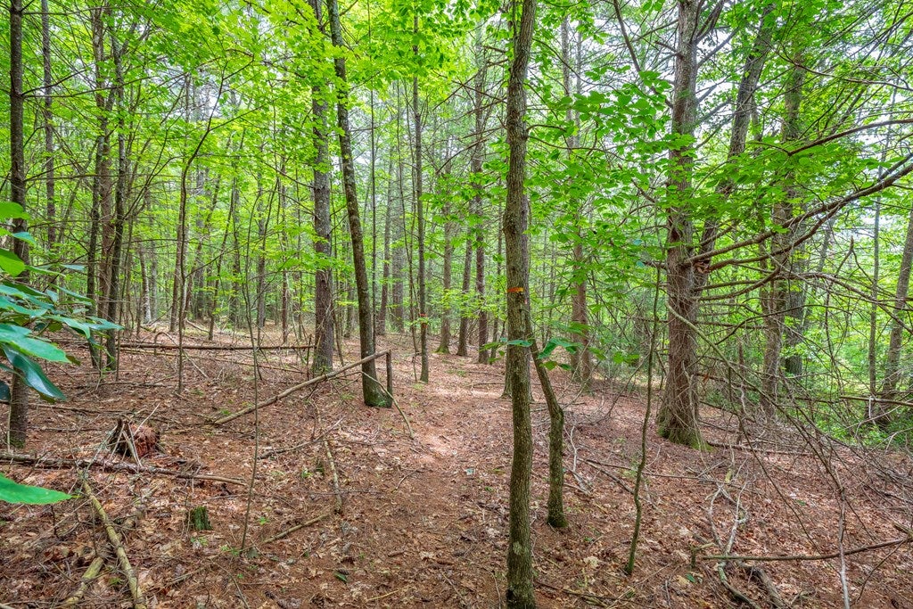 474 Scratch Gravel Road, Unit 96 Ivanhoe, VA 24350 - Photo 54 of 75 Gallery Image 54
