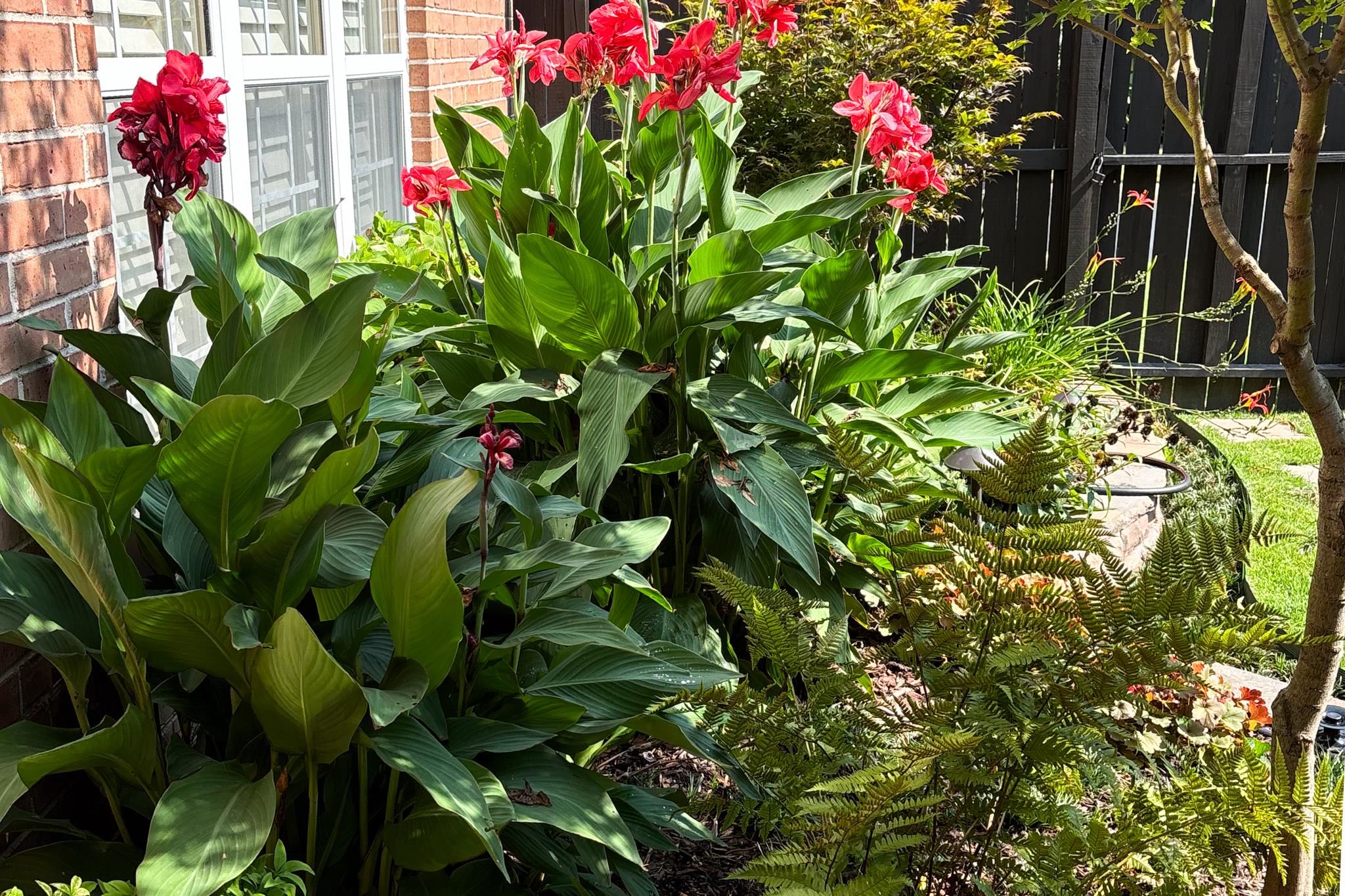 438 McElroy Road Memphis, TN 38120 - Photo 36 of 40