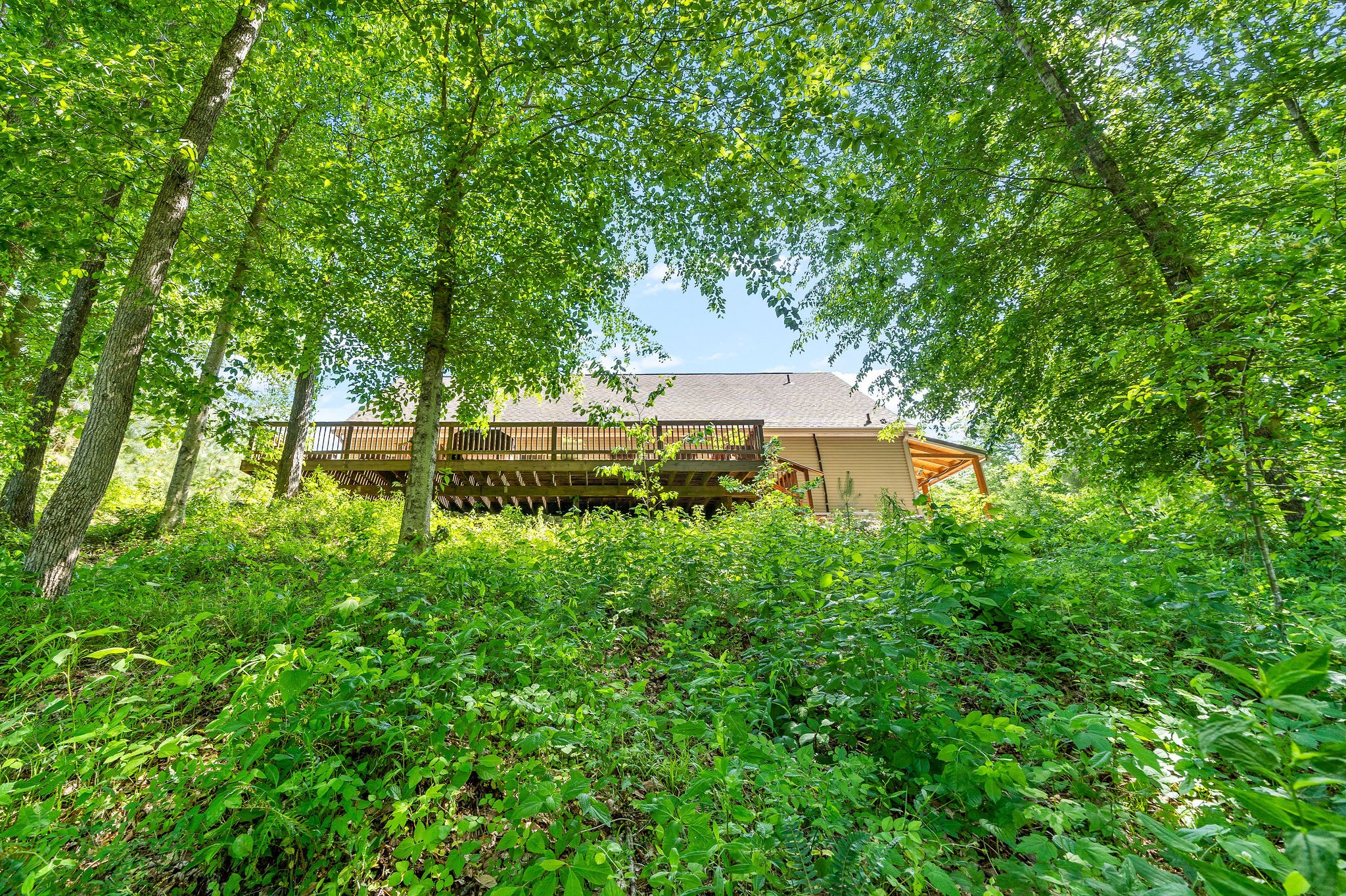 346 Durwachter Road Dover, TN 37058 - Photo 42 of 62 Gallery Image 42