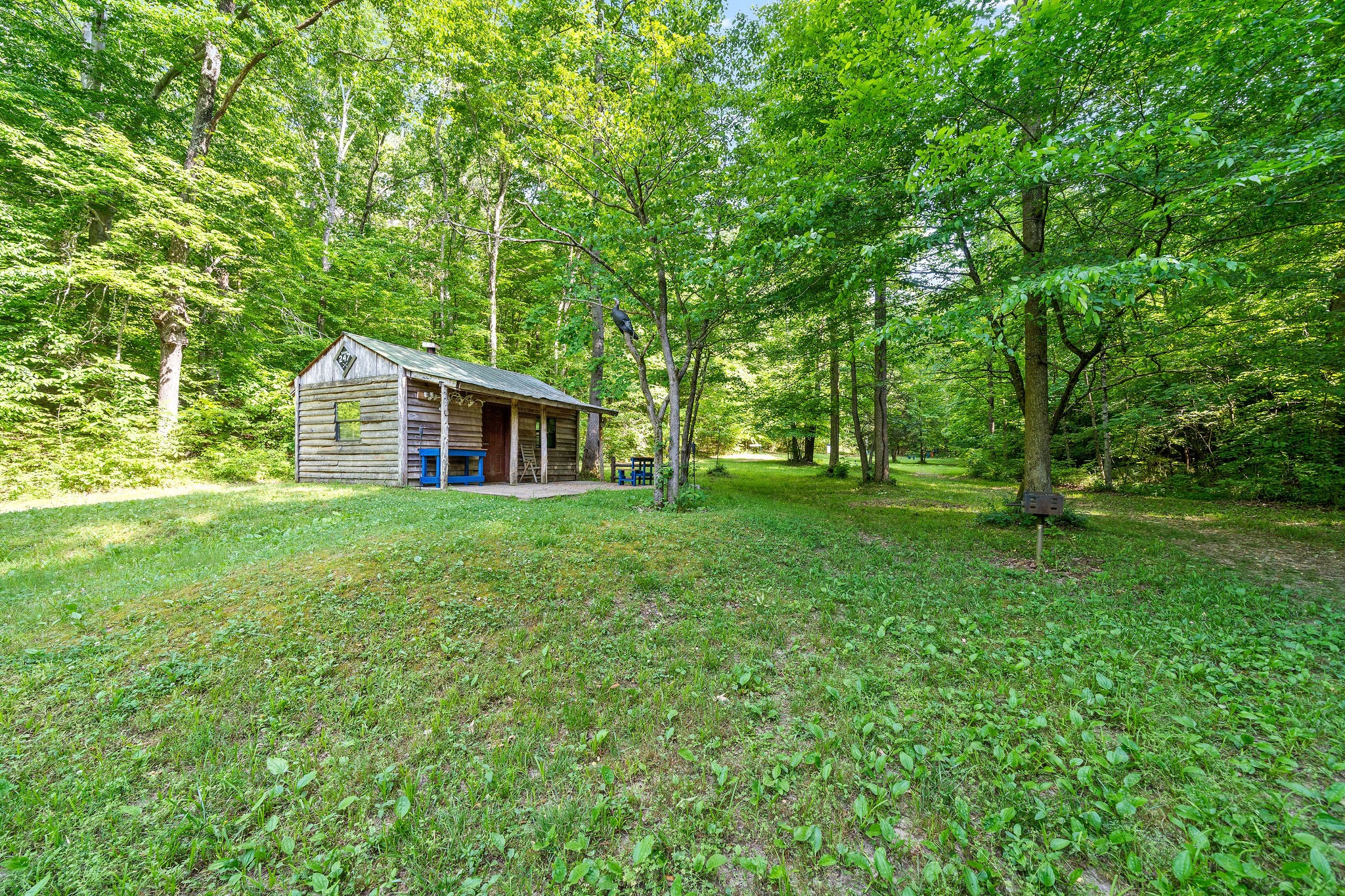 346 Durwachter Road Dover, TN 37058 - Photo 51 of 62 Gallery Image 51