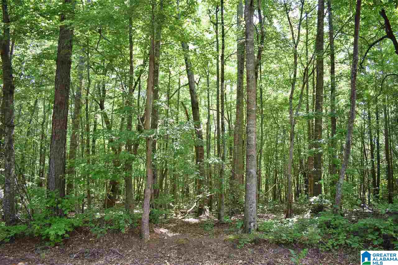Cauthen Circle Roanoke, AL 36274 - Photo 4 of 4