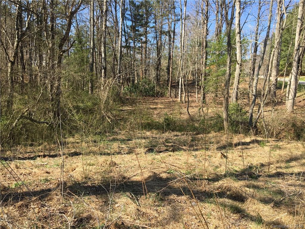 69 Number 9 Road Fairview, NC 28730 - Photo 2 of 4 Gallery Image 2