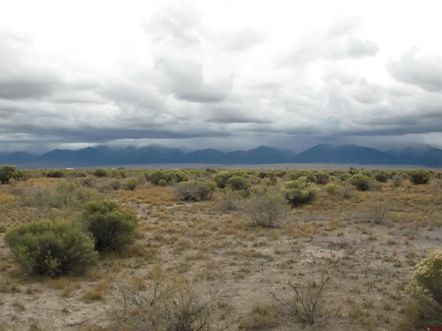 a view of a field with trees in background