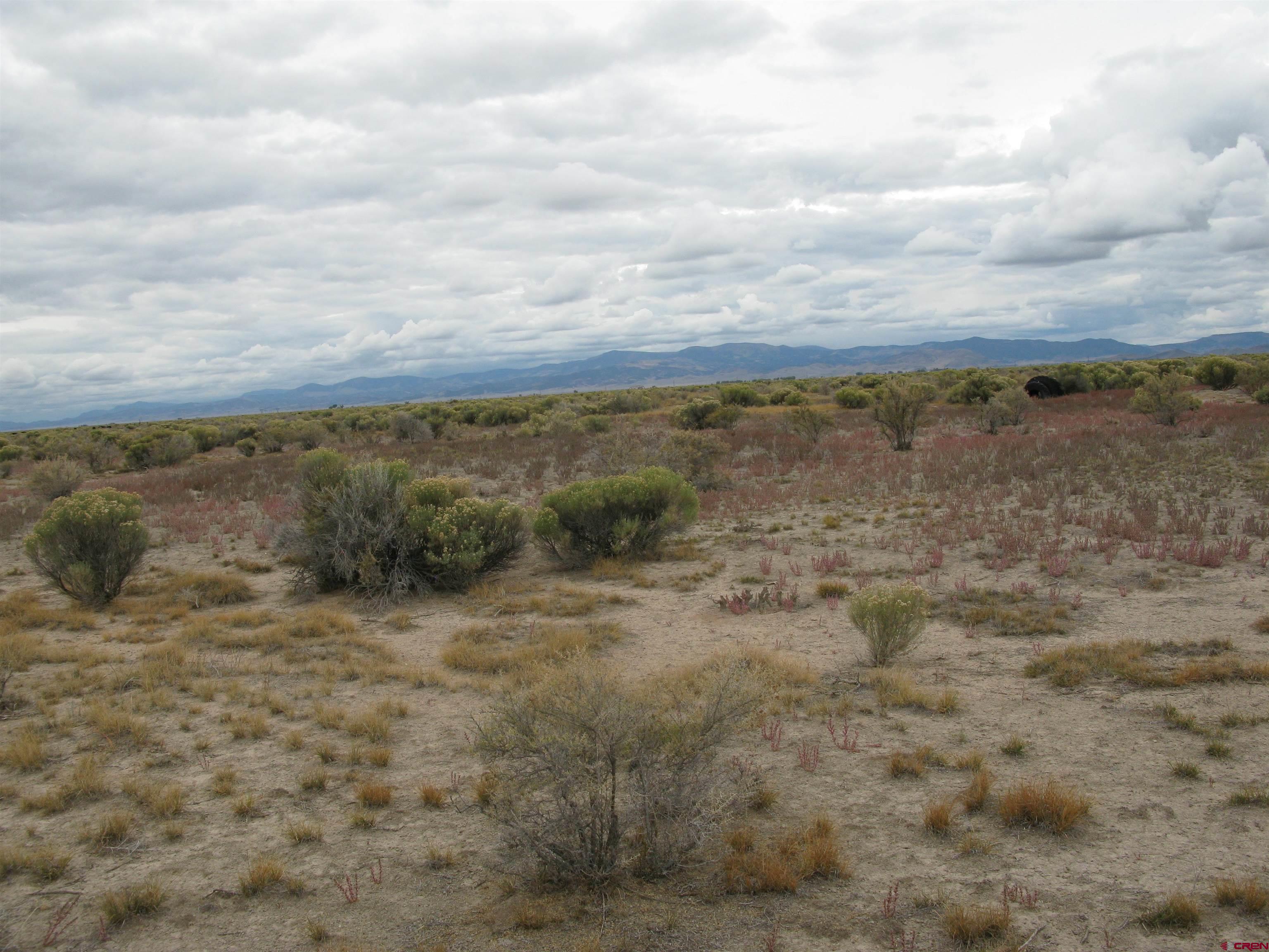 20651 Kit Carson Road Moffat, CO 81143 - Photo 2 of 4 a view of a field with trees in background