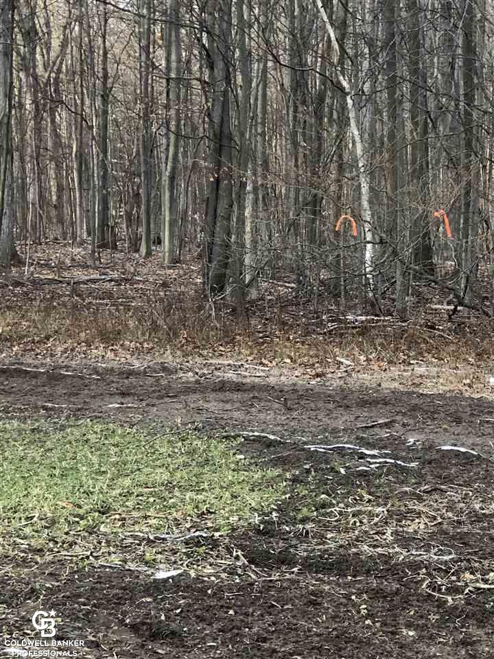 0 Puttygut Road Casco, MI 48064 - Photo 9 of 9