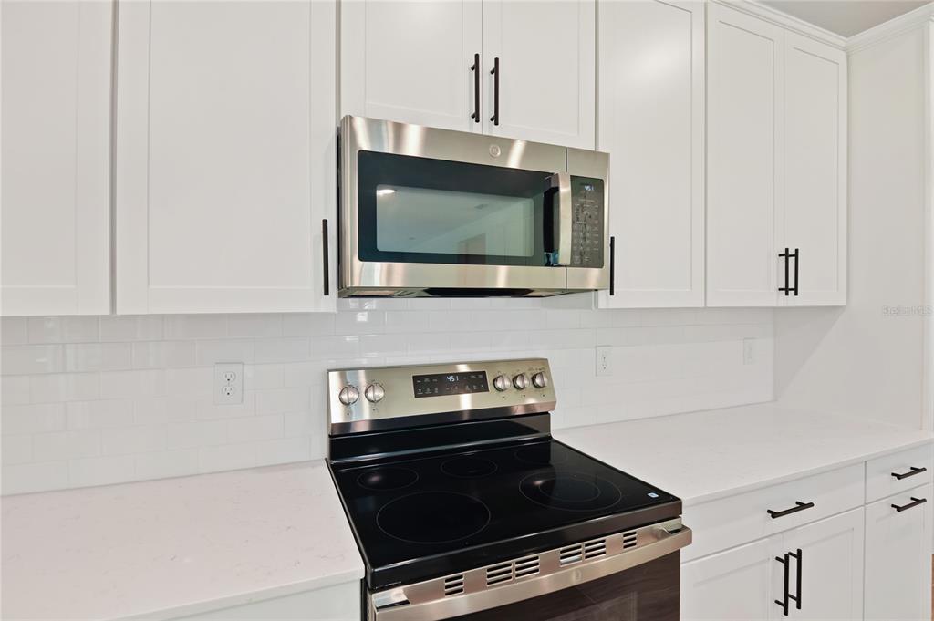 1034 Cloud Rdg Court Mount Dora, FL 32757 - Photo 12 of 23