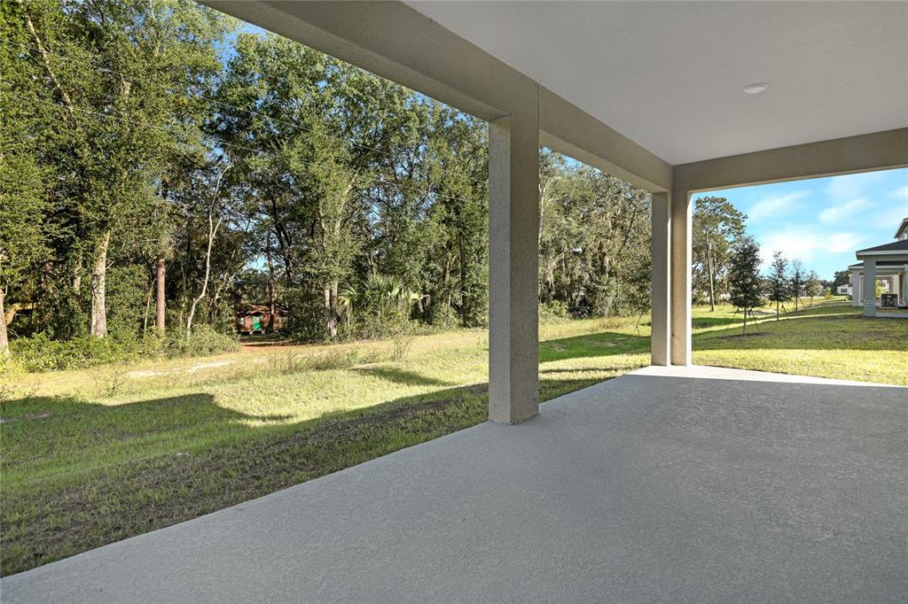 1034 Cloud Rdg Court Mount Dora, FL 32757 - Photo 22 of 23