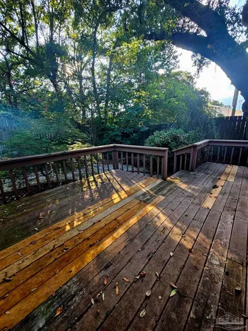 a backyard of a house with plants and large tree