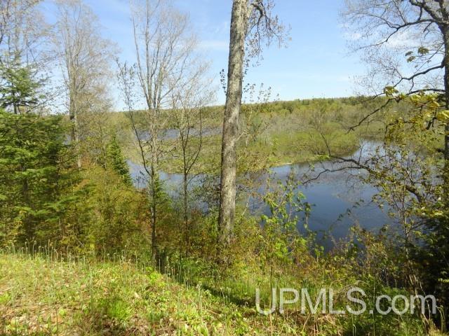 Tbd Autrain Forest Lake Road Au Train, MI 49806 - Photo 10 of 12