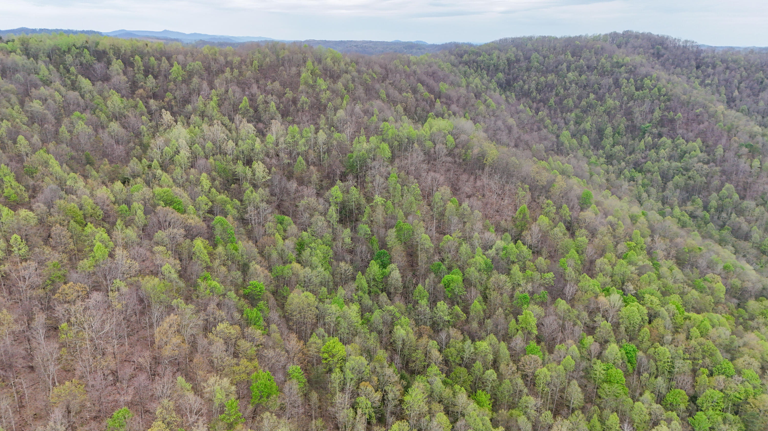 0 Dryfork Road Helton, KY 40840 - Photo 20 of 27 IMG_5507