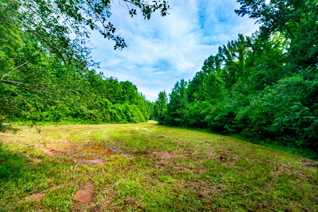 0 Briley Road LaGrange, GA 30241 - Photo 15 of 24