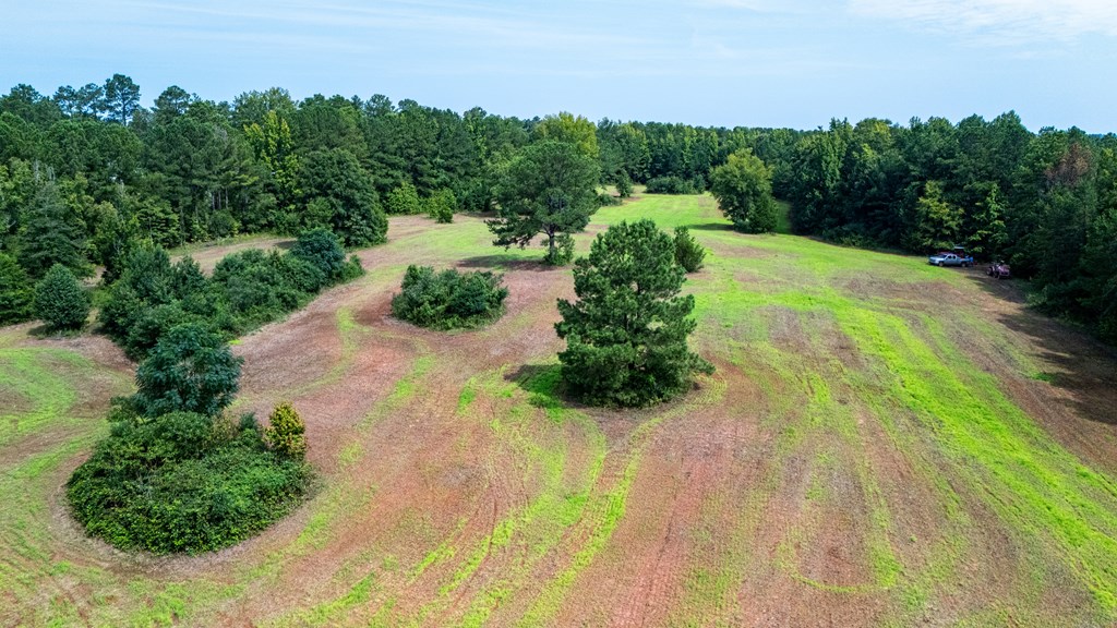 0 Briley Road LaGrange, GA 30241 - Photo 3 of 24