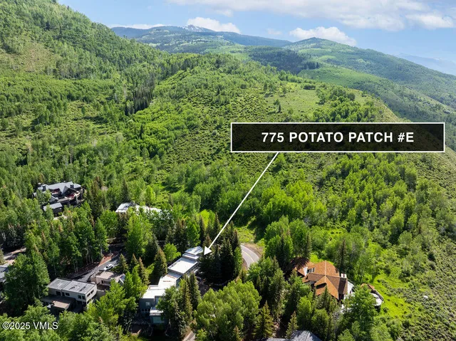 $3,995,000 | 775 Potato Patch Drive, Unit E, Vail, CO 81657