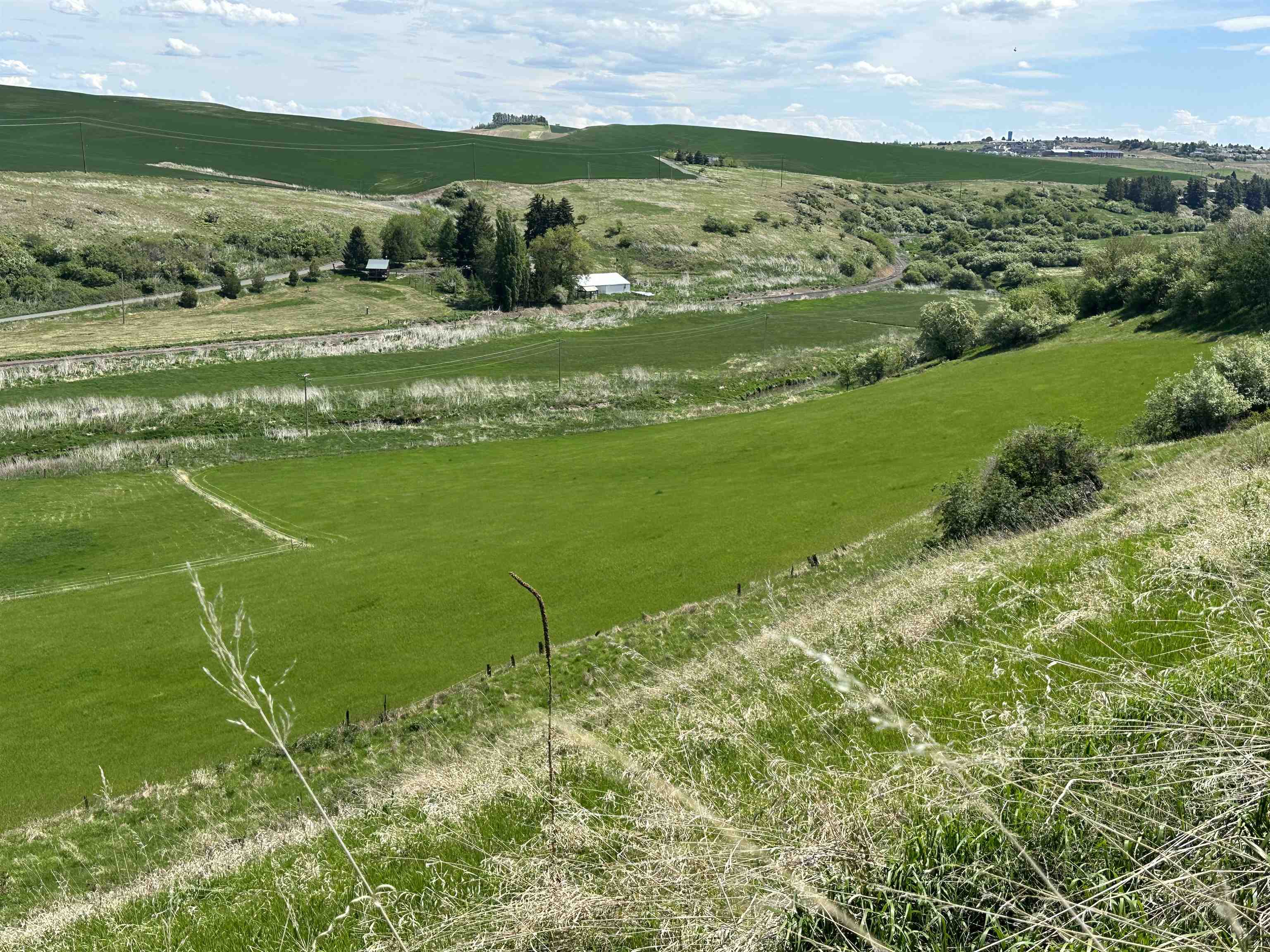 7-xx South Armstrong Road Pullman, WA 99163 - Photo 5 of 13