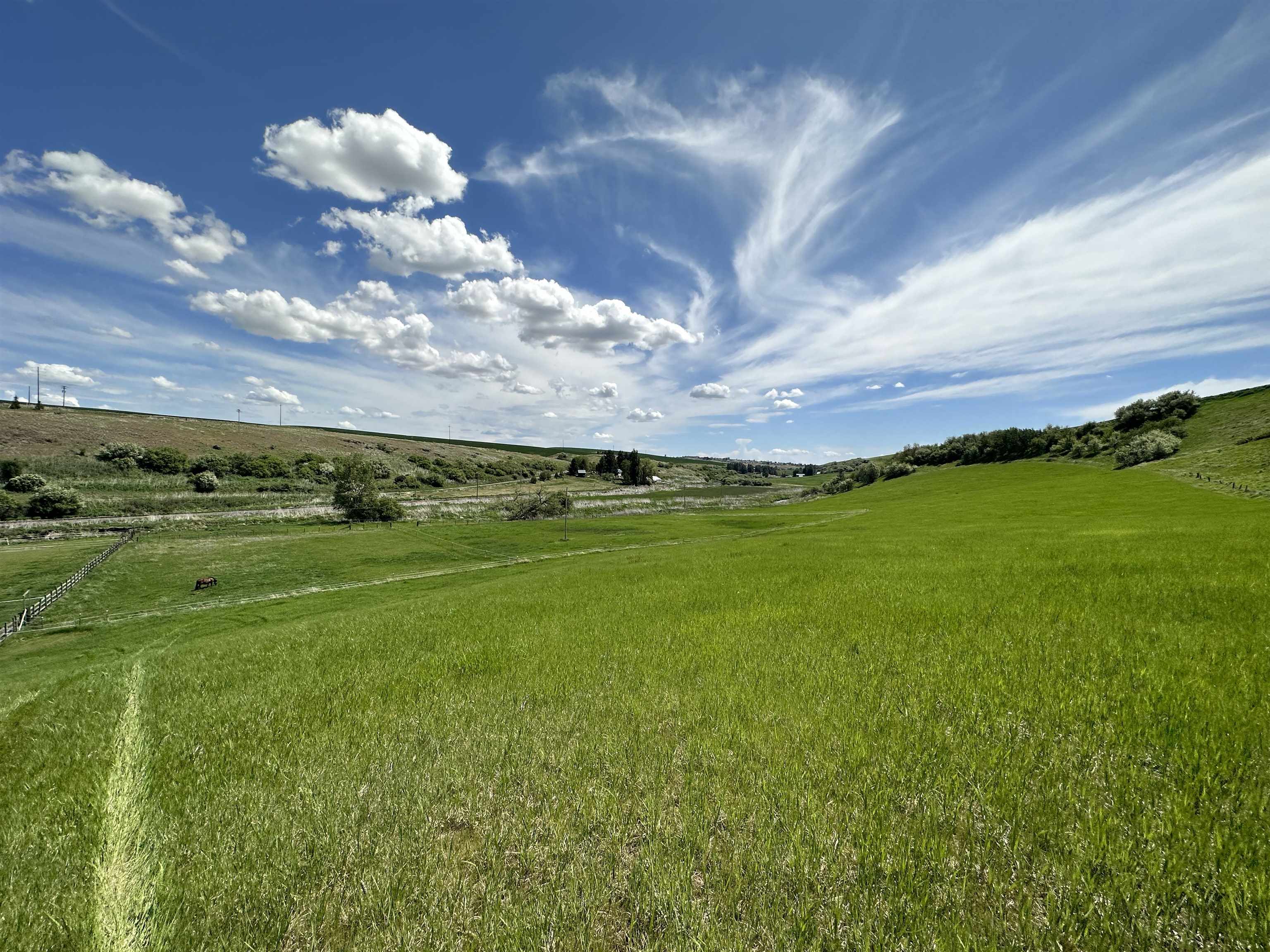 7-xx South Armstrong Road Pullman, WA 99163 - Photo 6 of 13