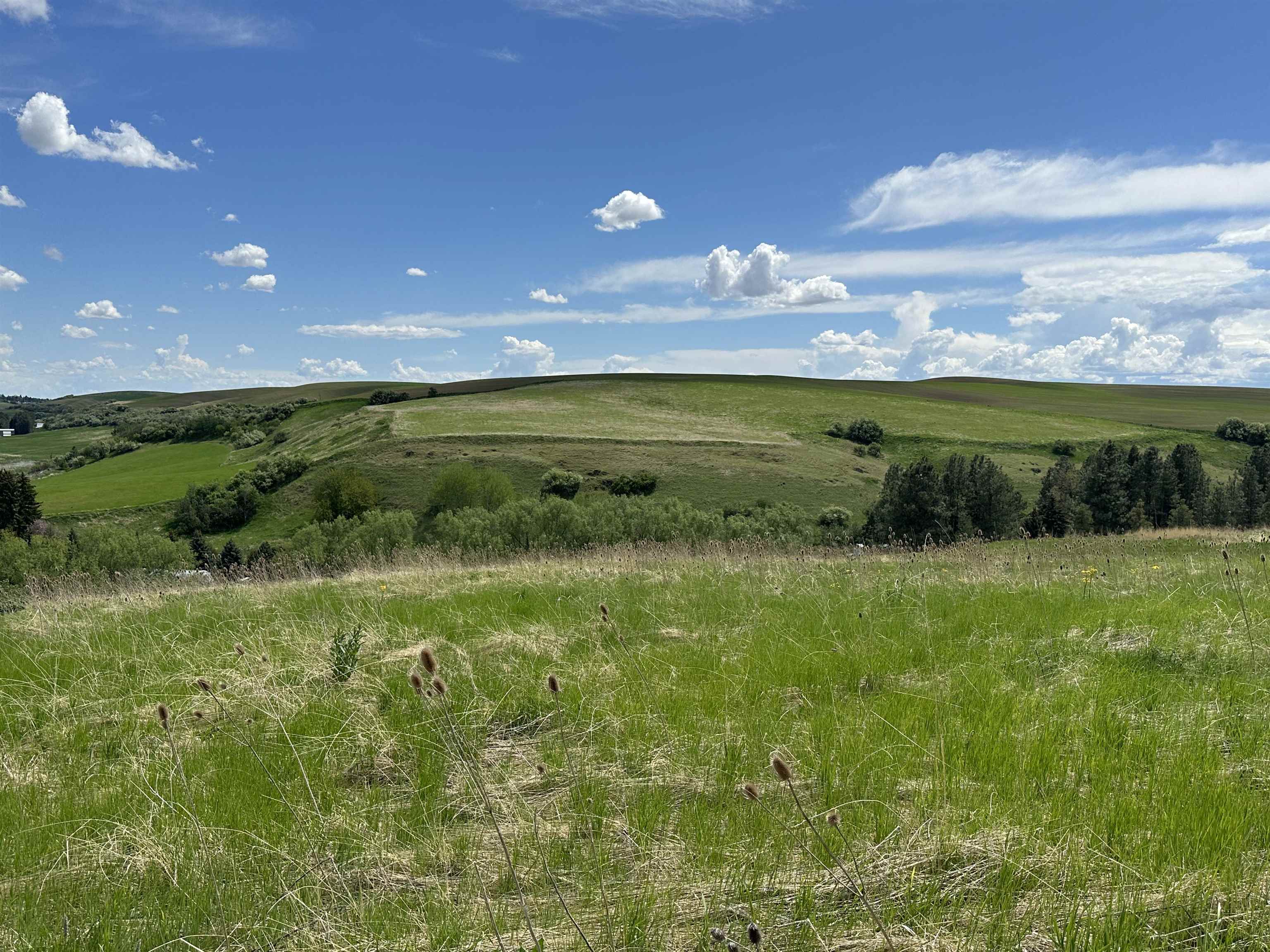 7-xx South Armstrong Road Pullman, WA 99163 - Photo 10 of 13