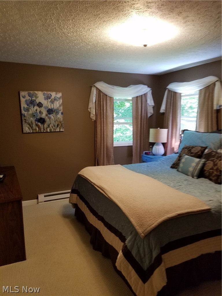3870 North County Line Road Geneva, OH 44041 - Photo 12 of 18