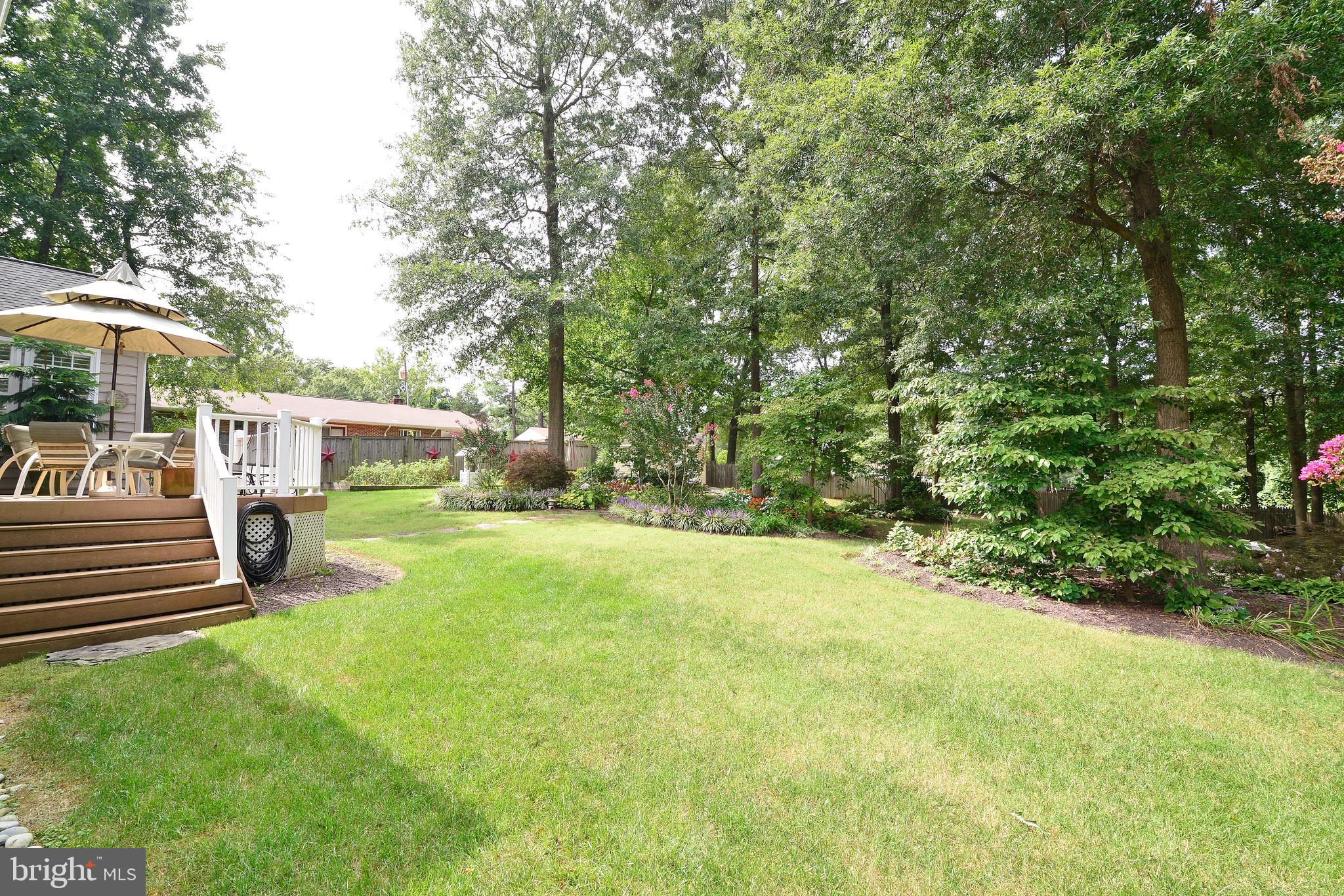 8134 Stacey Road Alexandria, VA 22308 - Photo 44 of 48 Backyard