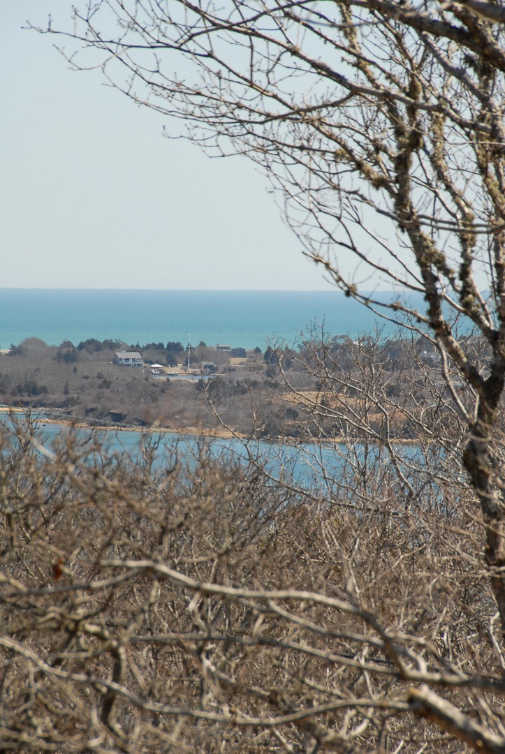 Lot 3 East Pasture Road Aquinnah, MA 02535 - Photo 3 of 6 View to the SouthEast
