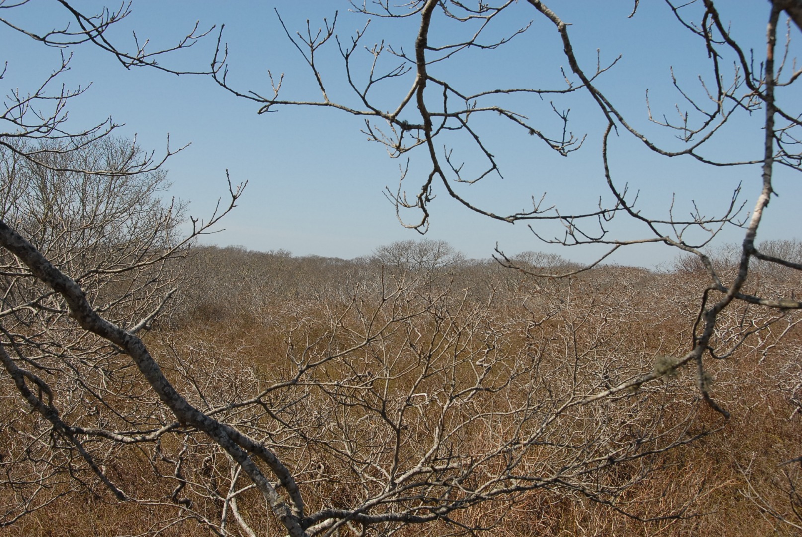 Lot 3 East Pasture Road Aquinnah, MA 02535 - Photo 5 of 6 View to the North/NW from hilltop building site