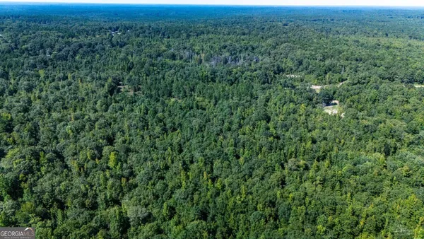 $73,000 | 0 Branch Hebron Road, Greenville, GA 30222