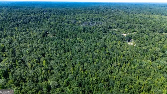 an aerial view of residential houses with outdoor space and trees
