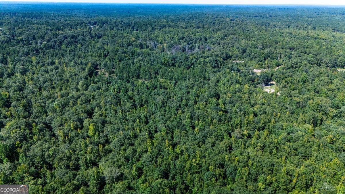 0 Branch Hebron Road Greenville, GA 30222 - Photo 4 of 6 an aerial view of residential houses with outdoor space and trees