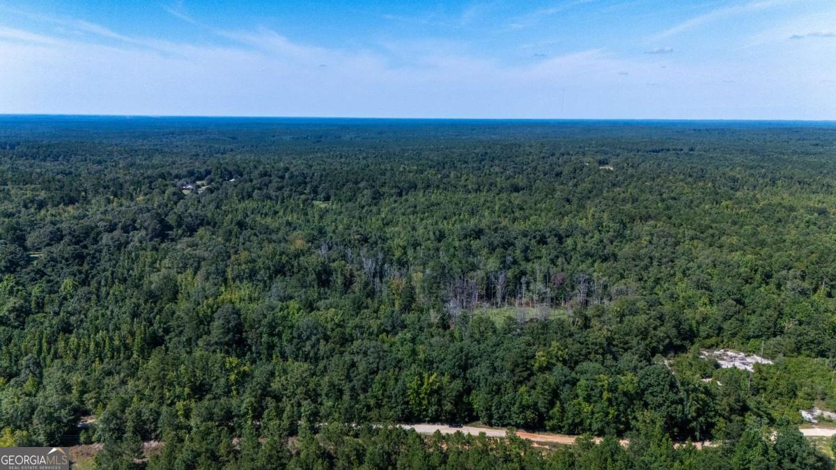 0 Branch Hebron Road Greenville, GA 30222 - Photo 5 of 6 a view of a big yard with lots of green space