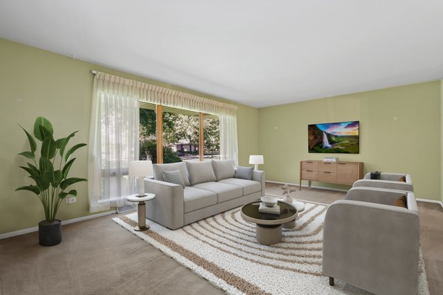 808 Burning Tree Lane Naperville, IL 60563 - Photo 3 of 34 a living room with furniture and a potted plant